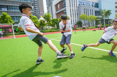 深圳南山國際學校